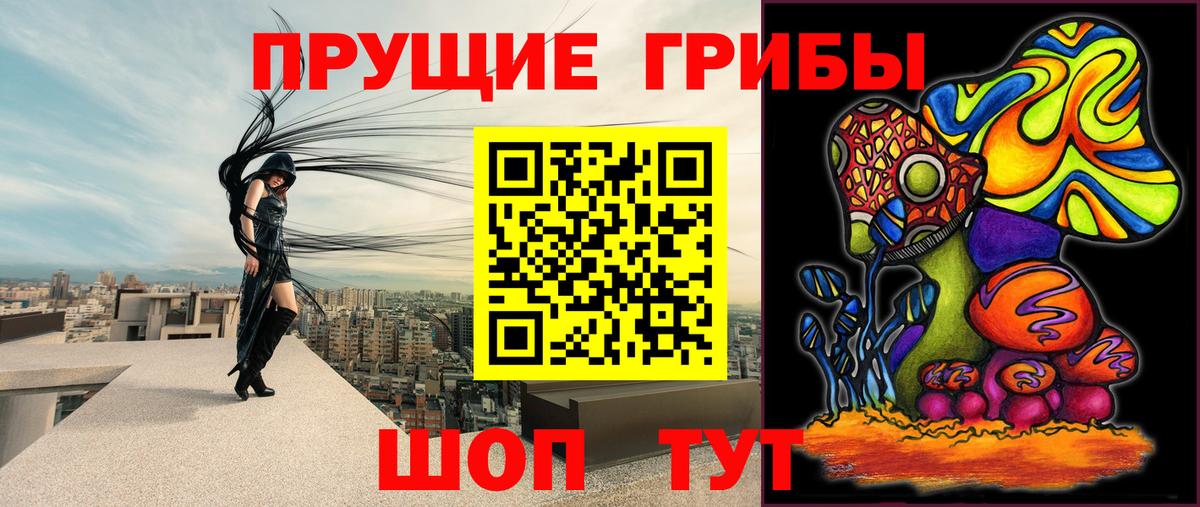 где найти   Вход с VPN  Волгоград  Псилоцибиновые грибы MAGIC MUSHROOMS  Псилоцибиновые грибы Psilocybine cubensis 