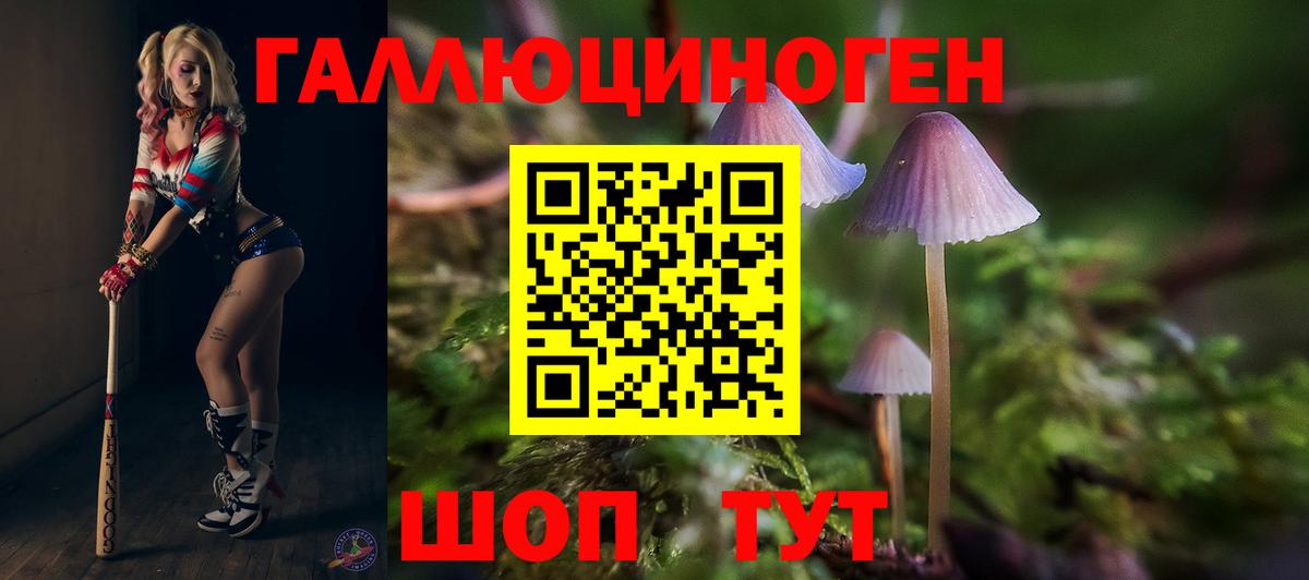 Галлюциногенные грибы Magic Shrooms Волгоград